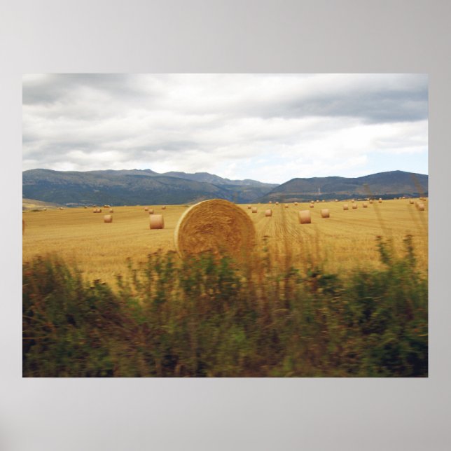 Affiche Pyrénées (Devant)