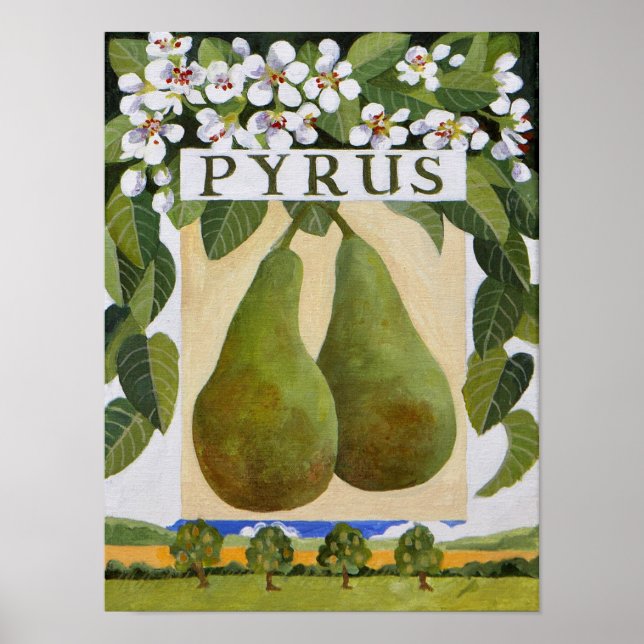 Affiche Pyrus (Devant)