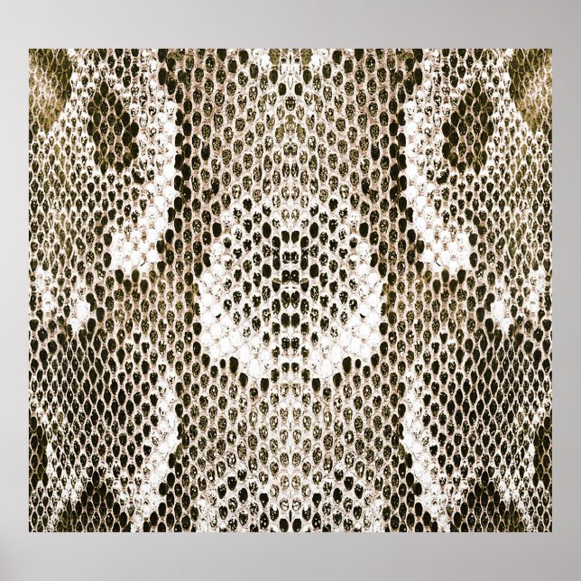 Affiche Python Skin : Design Motif animal (Devant)