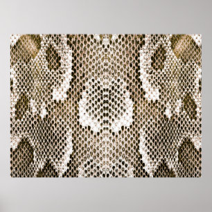 Affiche python skin, snake pattern, animal skin pattern de