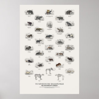 Affiche Quadrupèdes à peau épaisse - Bibliothèque du natur