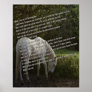 Affiche Quand je suis une vieille femme de cheval III