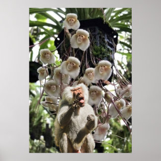 Affiche Quand la nature copie la nature.