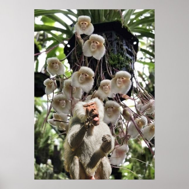 Affiche Quand la nature copie la nature. (Devant)