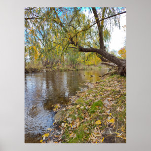 Affiche Quand les Feuilles jouent une mélodie