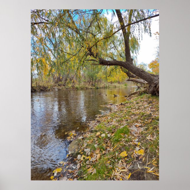 Affiche Quand les Feuilles jouent une mélodie (Devant)