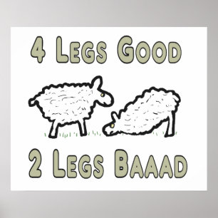 Affiche Quatre Jambes Beau Mouton Drôle