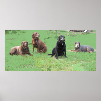 Affiche Quatre premiers