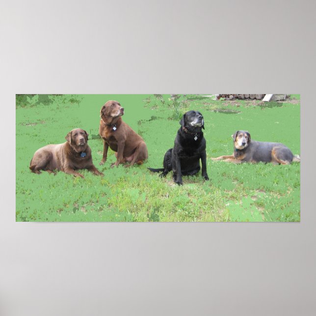 Affiche Quatre premiers (Devant)