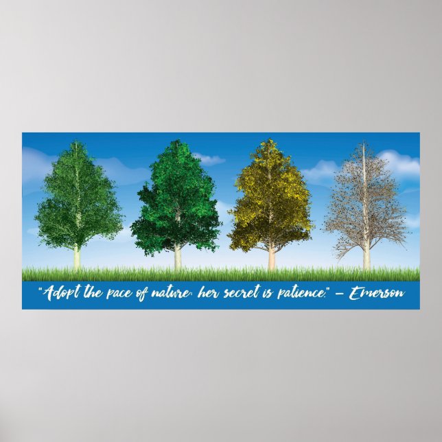Affiche Quatre saisons d'arbres d'Aspen (Devant)