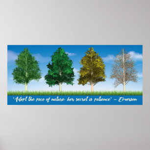 Affiche Quatre saisons des arbres d'Aspen