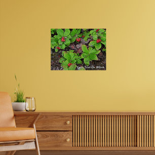Affiche Quatre-temps aux fruits