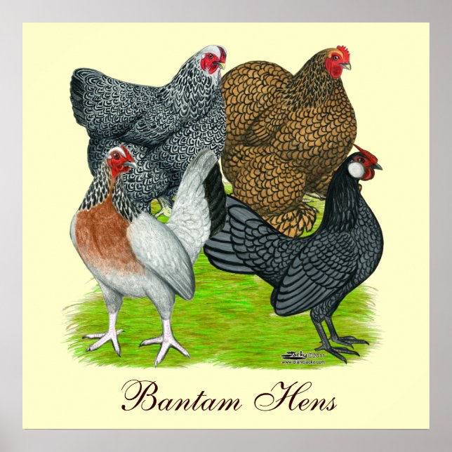 Affiche Quatuor Bantam Hen, Bantam Hens (Devant)