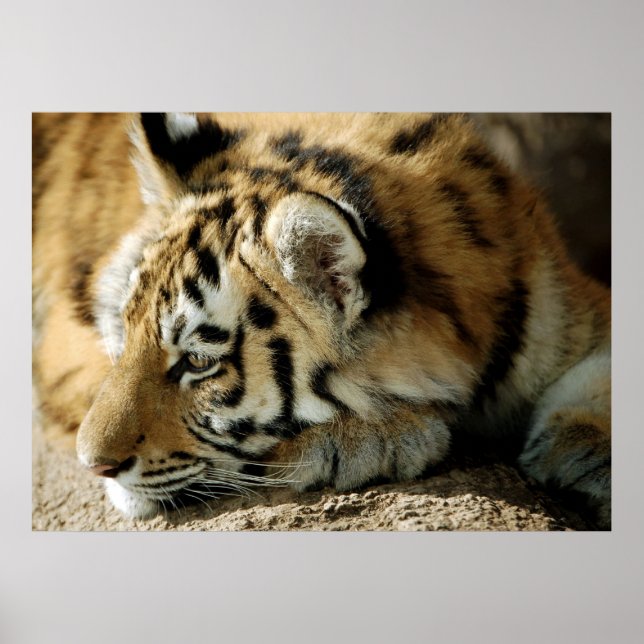 Affiche Que puis-je faire ensuite ? (Devant)