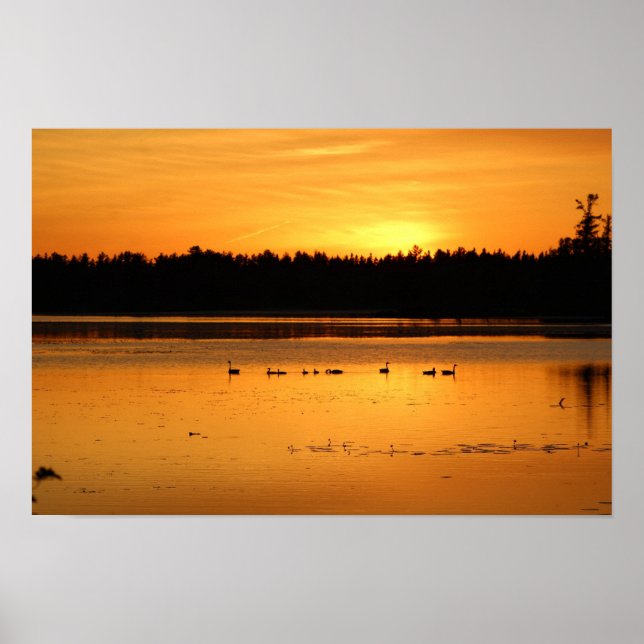 Affiche Quelque chose dans l'Orange - Canards (Devant)