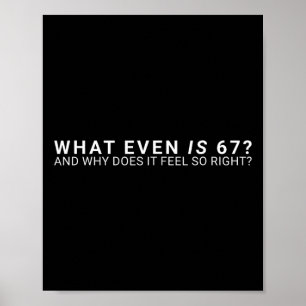 Affiche Qu'est-ce que c'est que ce mème 67