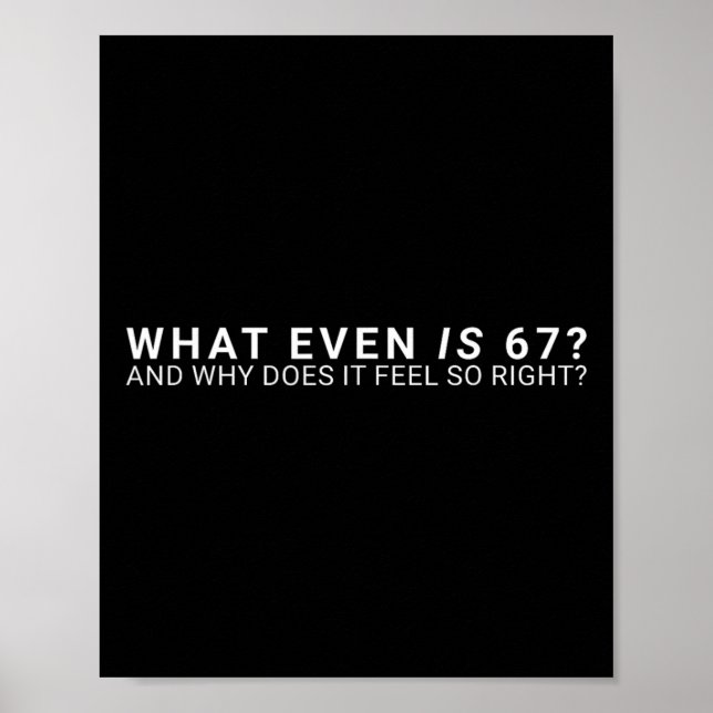 Affiche Qu'est-ce que c'est que ce mème 67  (Devant)