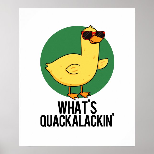 Affiche Qu'est-ce que Quackalackin Canard Drôle de Plaisan (Devant)