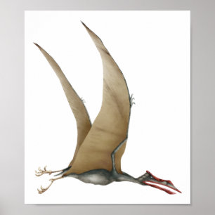 Affiche Quetzalcoatlus