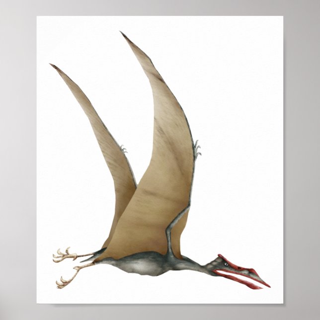 Affiche Quetzalcoatlus (Devant)