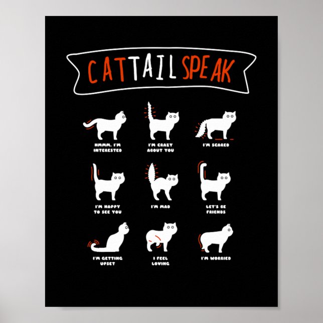 Affiche Queue de chat Parler Chat Kitten Meow Animal (Devant)