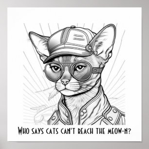 Affiche Qui dit que les chats ne peuvent pas atteindre le 