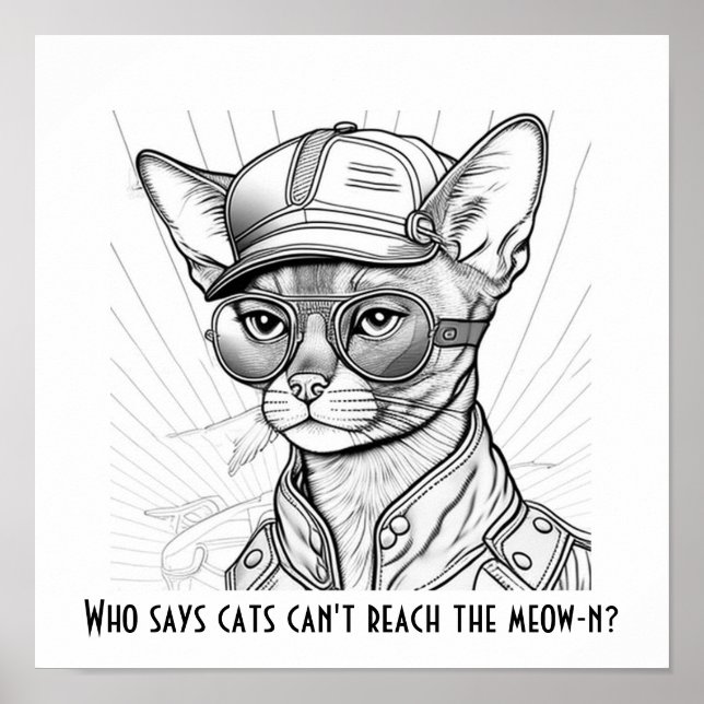 Affiche Qui dit que les chats ne peuvent pas atteindre le  (Devant)