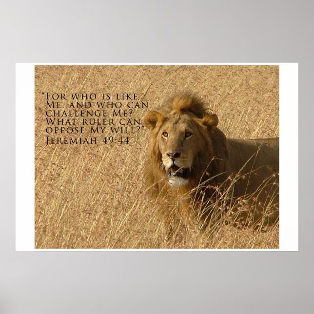 Affiche Qui est le plus grand (Devant)