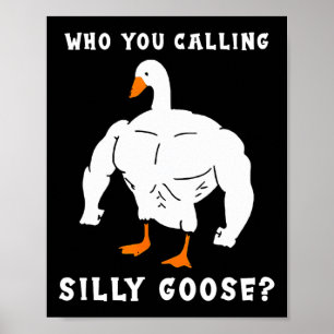 Affiche Qui Vous Appelez Silly Goose Funny Gym meme