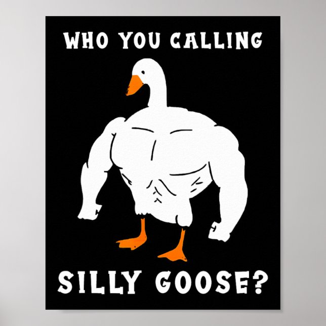 Affiche Qui Vous Appelez Silly Goose Funny Gym meme (Devant)