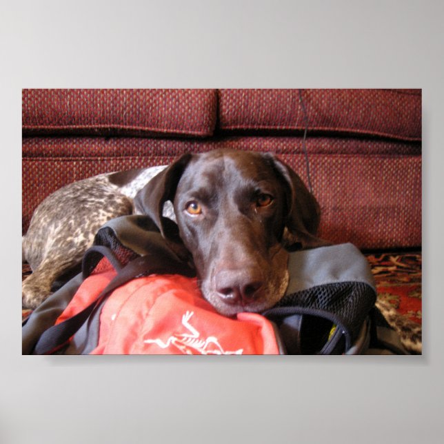 Affiche Quincy (Devant)