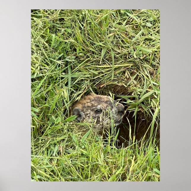 Affiche Quoi de neuf ? (Devant)