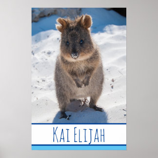 Affiche Quokka sur la plage Australia Blue Boys