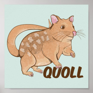 Affiche Quoll Australian Marsupial