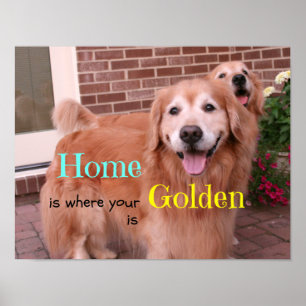 Affiche Quote de maison Golden Retriever