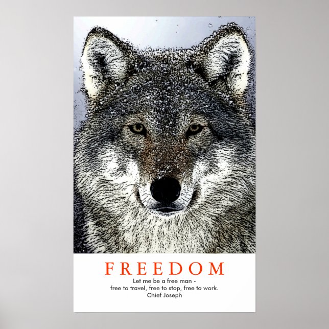 Affiche Quote indienne de loup Motivationnel unique Imprim (Devant)