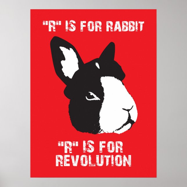 Affiche R est pour (Devant)