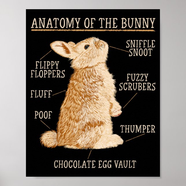 Affiche Rabbit Anatomy Bunny Lover Animal Pet Owner  (Devant)