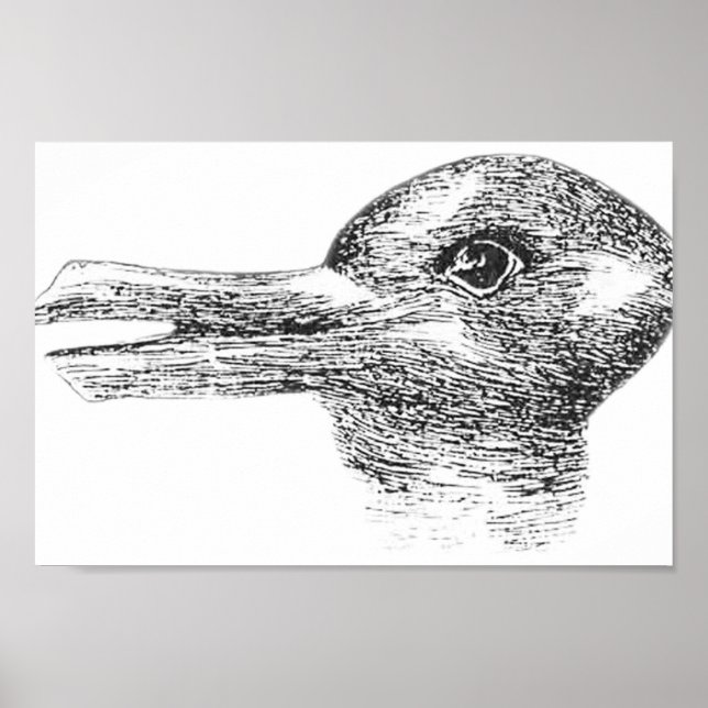 Affiche Rabbit Duck illusion Est-ce un lapin ou est-ce un  (Devant)