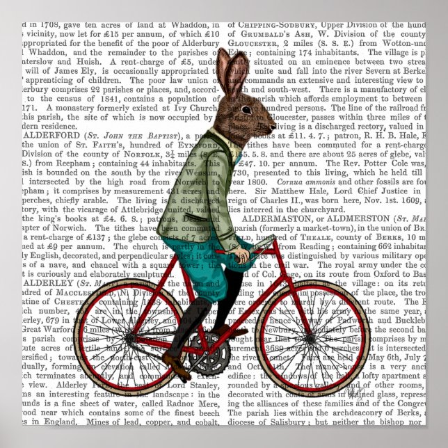 Affiche Rabbit On Bike (Devant)