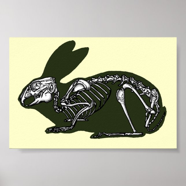 Affiche rabbit skeleton (Devant)