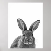 Rabbit Woodland moderne Portrait noir blanc