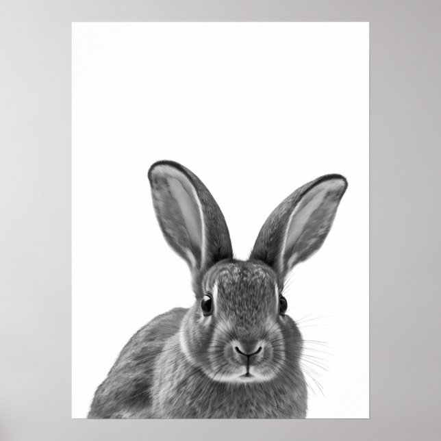 Affiche Rabbit Woodland moderne Portrait noir blanc (Devant)