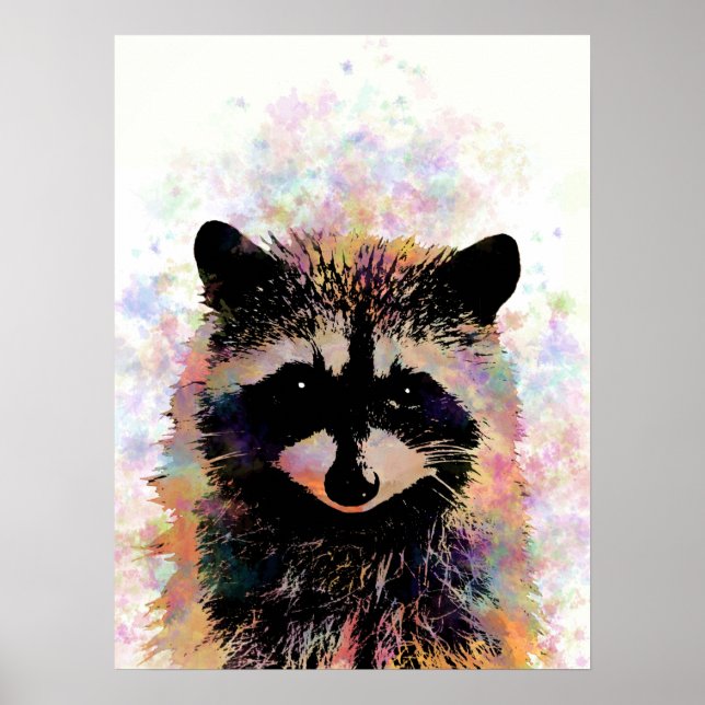 Affiche Raccoon 27 (Devant)