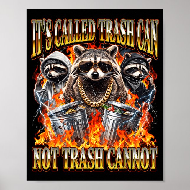 Affiche Raccoon It's Called Trash Can Not Trash Cannot Fun (Devant)
