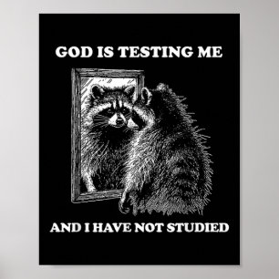 Affiche Raccoon Mème Drôle Dire Que Dieu Me Teste Street