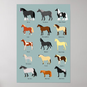 Affiche race de cheval
