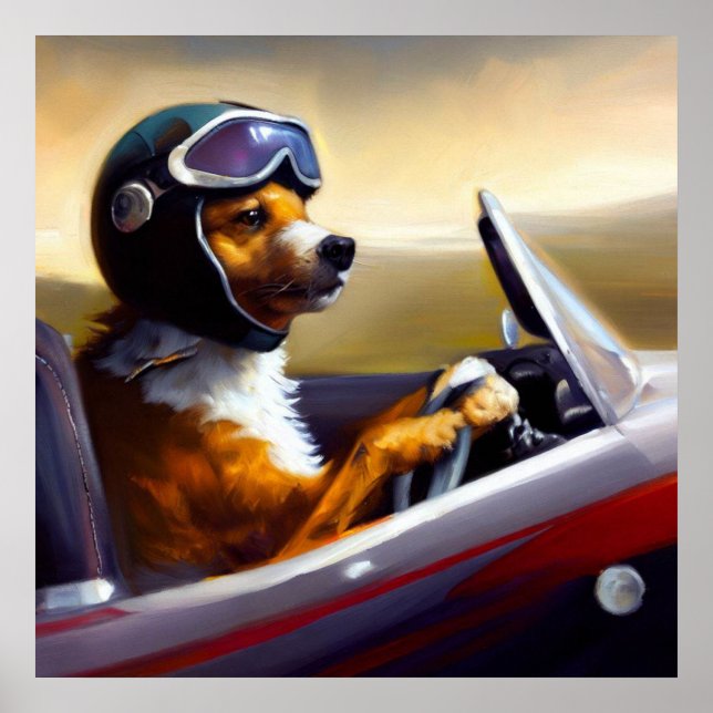 Affiche Racecar de conduite de chien (Devant)