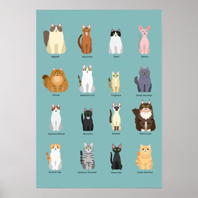 Affiche races de chats, divers chats,art des chats (Devant)