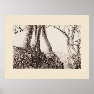 Affiche Racines d'arbre Cornwall Eleanor Hughes Réimpressi